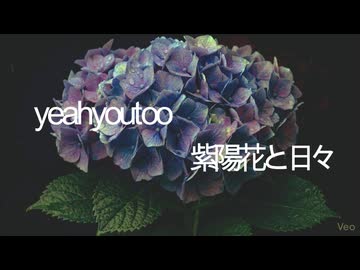 紫陽花と日々 feat.SynthV AI 猫村いろは