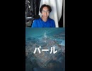 ダイヤ帯に昇格した夜猫ミント