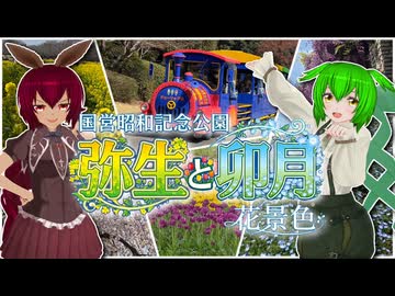 【ソフトウェアトーク旅行】国営昭和記念公園 弥生と卯月 花景色【あんこもん／ずんだもん】