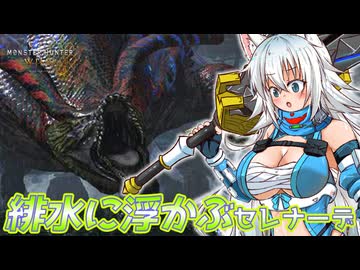 スラアク使いのカミンちゃんがもっと駆け抜ける！ワイルズPart24【MHWilds】