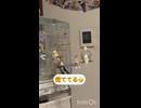 最初まったり最後に大ハプニング‼️