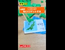 都道府県、箸で掴める？？ #いただき都道府県 #ボードゲーム #shorts #boardgame #ムーブ