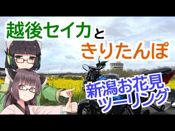 【VOICEROID車載】越後セイカときりたんぽ【新潟お花見ツーリング】