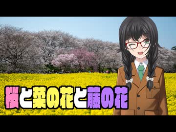 桜と菜の花と藤の花
