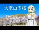 【#紡乃世詞音誕生祭2026】ただことねさんが歩くだけ【大室山の桜】