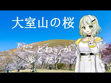 【#紡乃世詞音誕生祭2026】ただことねさんが歩くだけ【大室山の桜】