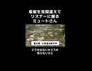 【ミュート】看板を見間違えてリスナーに謝るミュートさん【2026.5.10/ニコ生切り抜き】