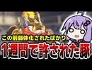 緊急アプデでホグが強化されましt...ホントに強化か...？【OW2】