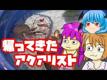 帰ってきたアクアリスト（ビオトープ編 その１）【まだコケは無い】