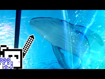 【CeVIO実況】クジラを助けるざらめちゃん【NTE】