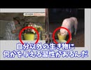 京都小学生殺害事件で煽りまくったワイドショーが一斉に言い訳を始めた件