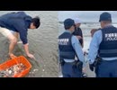 ホモと見る日本の海でハマグリを密猟しまくる不良外国人