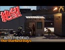【#4】救援物資と謎の軍人【Into the Dead:Our Darkest Days】