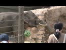 「障害のある子供たちに楽しんでほしい」貸し切りの動物園と科学館・プラネタリウムに招待　福岡市