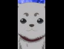 【銀魂】連邦の白い悪魔 #銀魂 #gintama #shorts