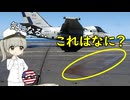 なぜ米空母のここは色が違うの？