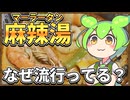 ずんだもんのたべもののヒミツ　‐麻辣湯のヒミツ‐