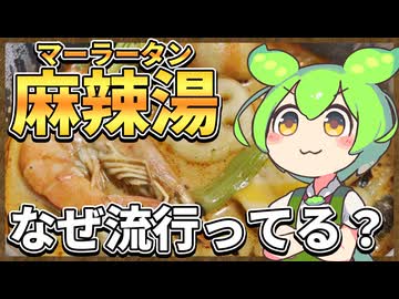 ずんだもんのたべもののヒミツ　‐麻辣湯のヒミツ‐