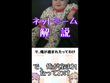 ゆかつむネットミーム解説【で、俺が産まれたってわけ】