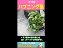 イチゴ栽培　ハプニング集