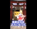 パワーアップしたのが嬉しい狐