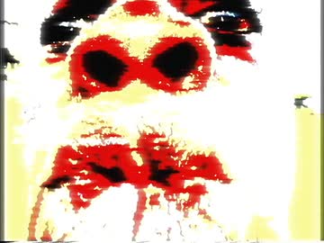 inst