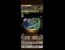 【パズドラ】202605　星を紡ぐ精霊フェス30連