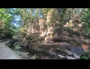 2026/5/11配信分　(タイトル：【外】約3年間閉鎖されていた渓谷遊歩道)　その2