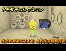 トモダチコレクション　住民の要望に応える　島の住人観察日記（ポケモン編）　＃４８２　【トモコレわくわく生活】
