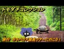 トモダチコレクション　旅行　ガラパゴス諸島ツアーに行こう！　島の住人観察日記（ポケモン編）　＃４８８　【トモコレわくわく生活】