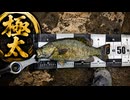 「ニコニコショート」最高の魚なのに撮影下手でボツになった動画