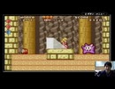 #4【スーパーマリオアドバンス1実況】『でかいハックンにビビる男』スーパーマリオUSA初見ピーチ縛り【スーパーマリオUSA】