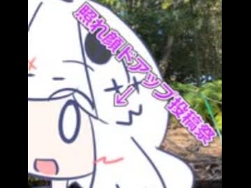 【断捨離旅行投稿祭】閉会式します【照れ顔ドアップ投稿祭 】