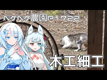 2026年5月11日　日記P1722　朝から雨だったので・・・局地的な、木工細工をすることにしたよ