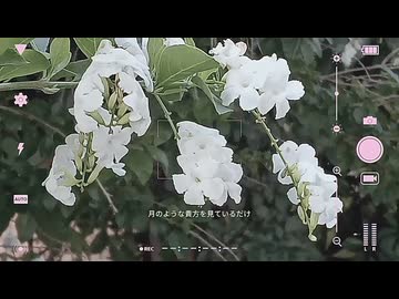 滲んでく-初音ミク