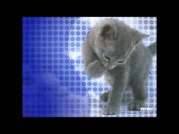とまどわずふり向かず/LAZY KNACK
