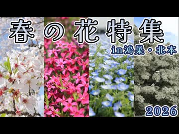春のお花特集in鴻巣北本2026
