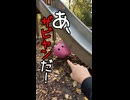 「あ！ザビャンだ！」「ちがうよ、ザピまるだよ」
