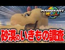 【マリオカートワールド】フリーランで砂漠に遊びに行ったら知らない生物がたくさんいて楽しすぎた【スイッチ2 / ニンテンドースイッチ2 / Switch2】