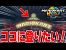 【マリオカートワールド】フリーランで大きな橋のテッペンに登って写真を撮る予定だったのにいつの間にか違うことしてた【スイッチ2 / ニンテンドースイッチ2 / Switch2】