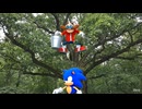 水のいたずら vs ソニック