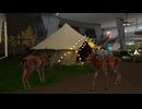【VRChatワールド紹介】Deer Santuary Cafe ｜ 사슴 안식처 카페