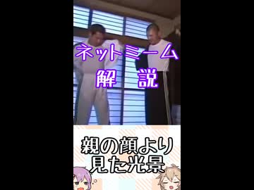 ゆかつむネットミーム解説【親の顔より見た光景】