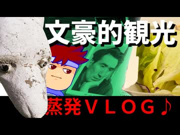 【龍飛VLOG】あの文豪の足跡を大追跡！？あの文豪の足跡を大追跡！！編。【バーチャルいいゲーマー】