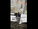 【お転婆】 朝の部屋んぽから帰ってこない女の子！オヤツの誘惑も通じない！ #フクロモモンガ #おつモモンガ  #shorts