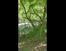 烏川（からすがわ）のほとりにて、せせらぎを聴く　国営アルプスあづみの公園