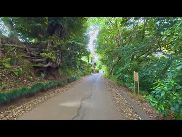 【散歩】千葉県流山市前ケ崎を歩く【鰭ヶ崎三本松古墳発増尾行き編 part3①】