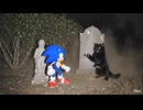 アクション　墓地の黒猫 vs ソニック