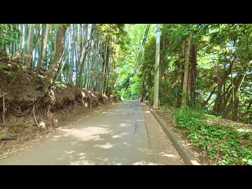 【散歩】千葉県流山市前ケ崎を歩く【鰭ヶ崎三本松古墳発増尾行き編 part3②】