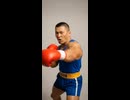 バイソン。②(AI動画)